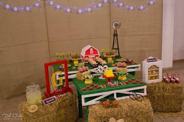Festa Fazeninha!!