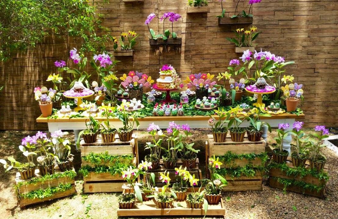 Festa Jardim das Orquídeas!!