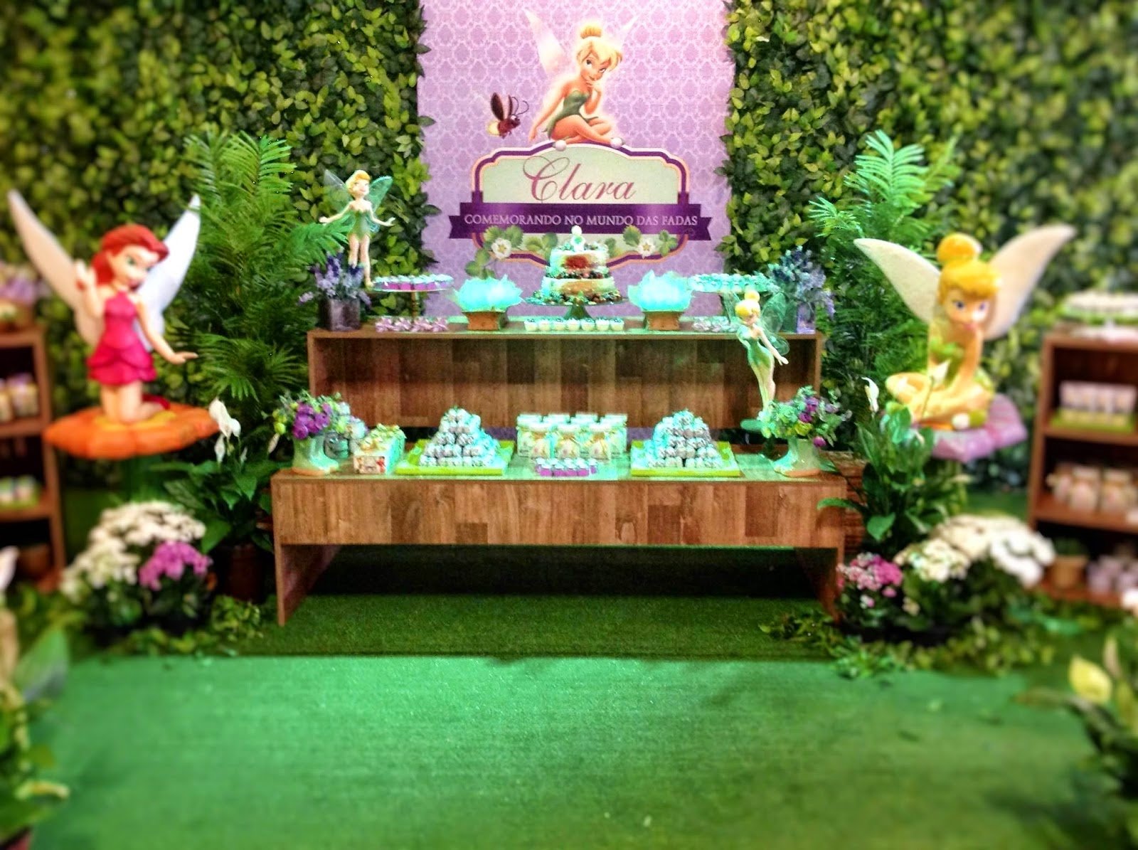 Festa Sininho!!