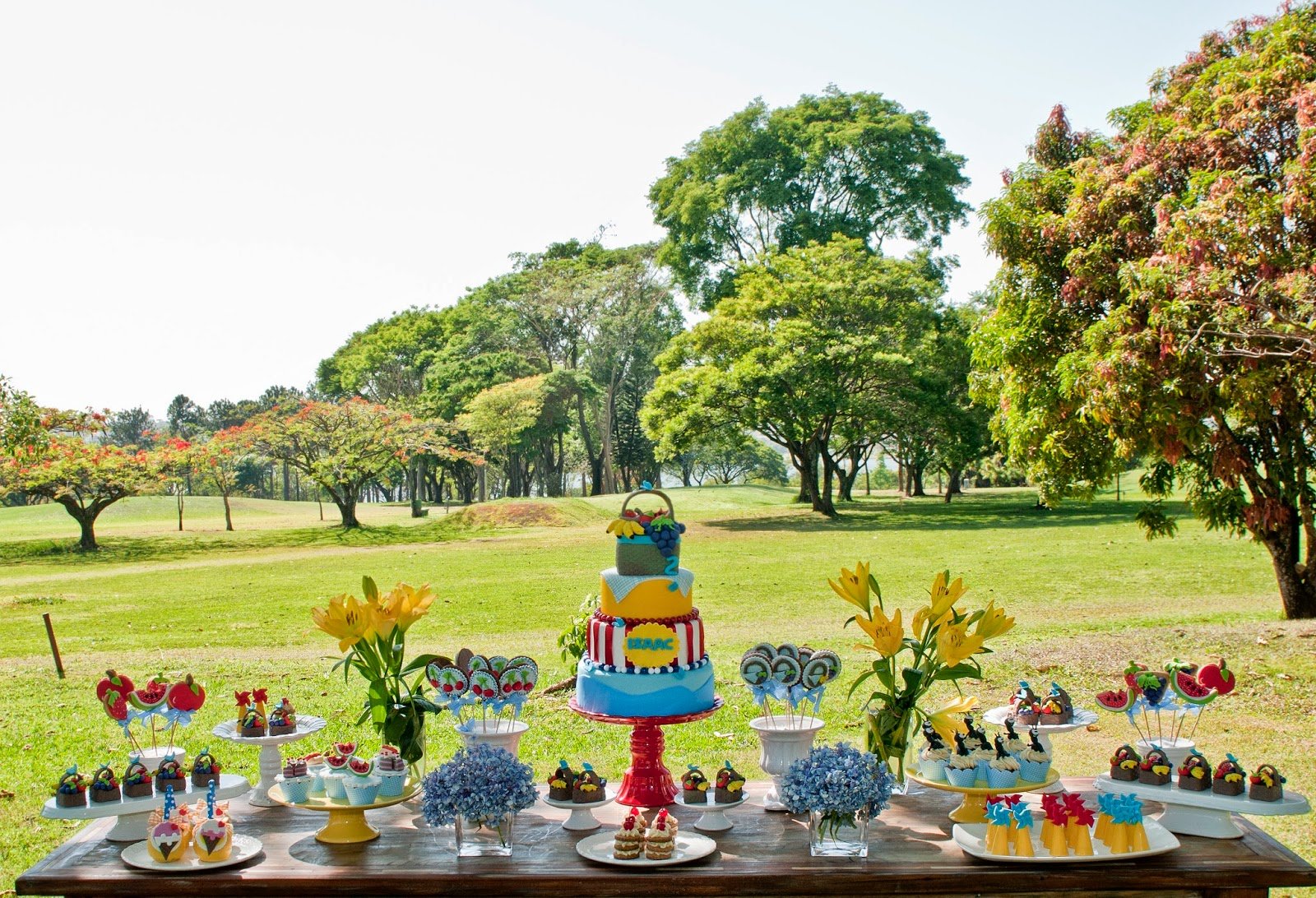 Festa Picnic!!