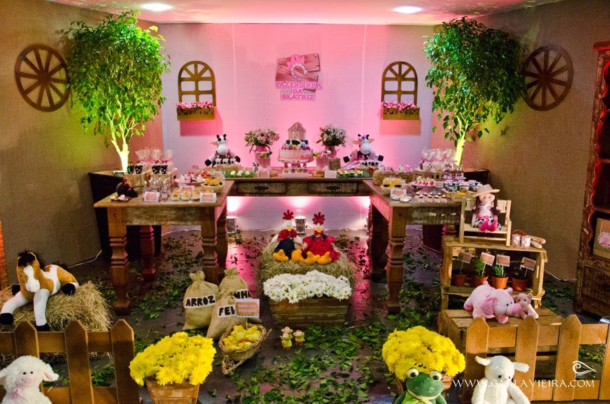 Festa Fazendinha Pink!! 
