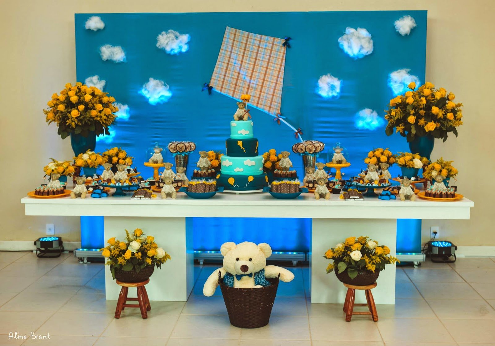 Festa Ursinho!!