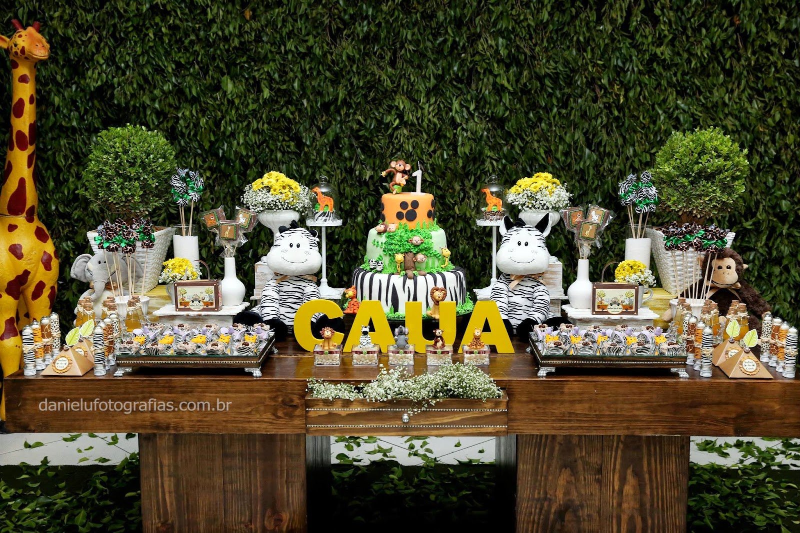 Festa Safari!!