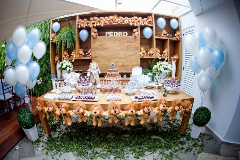Festa Leãozinho!!