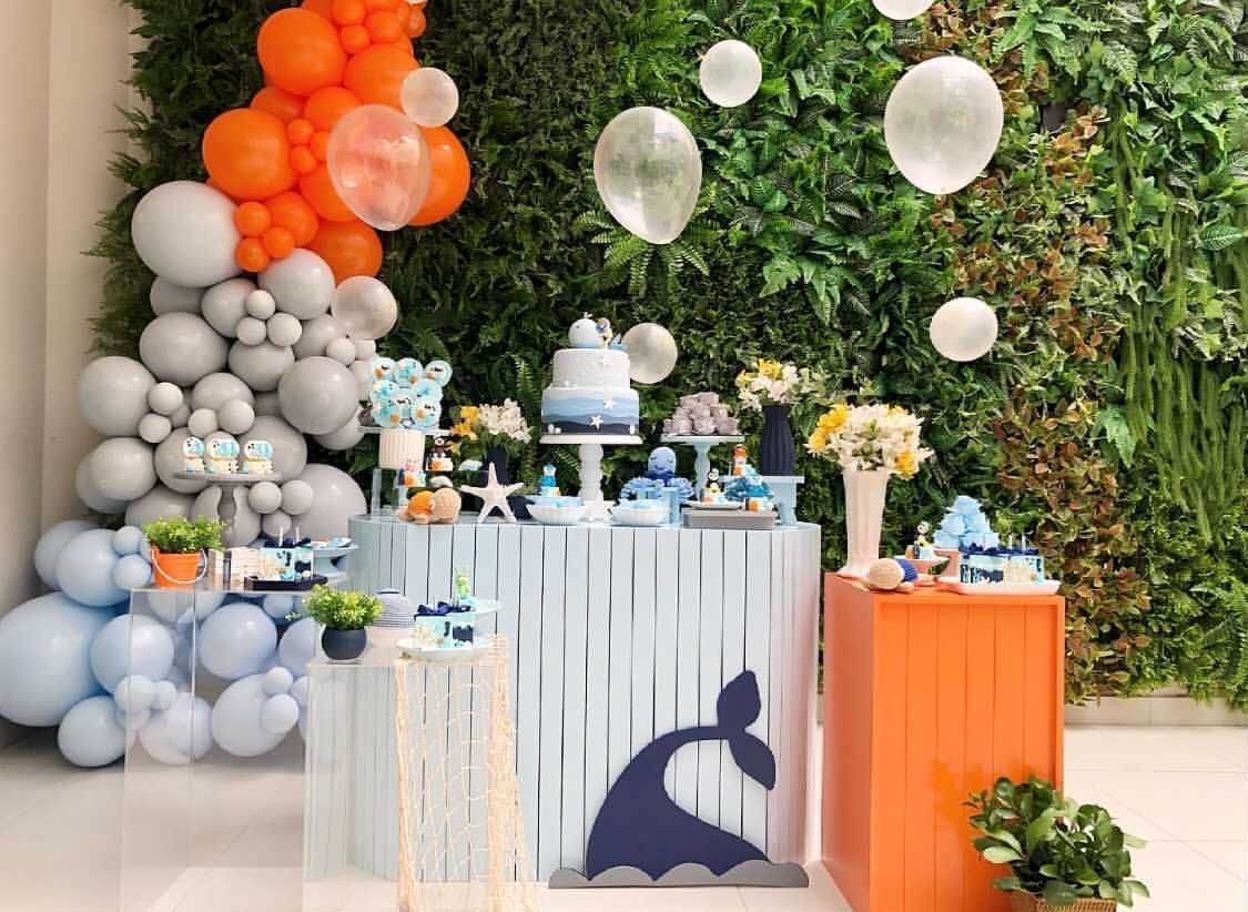 Festa Octonautas