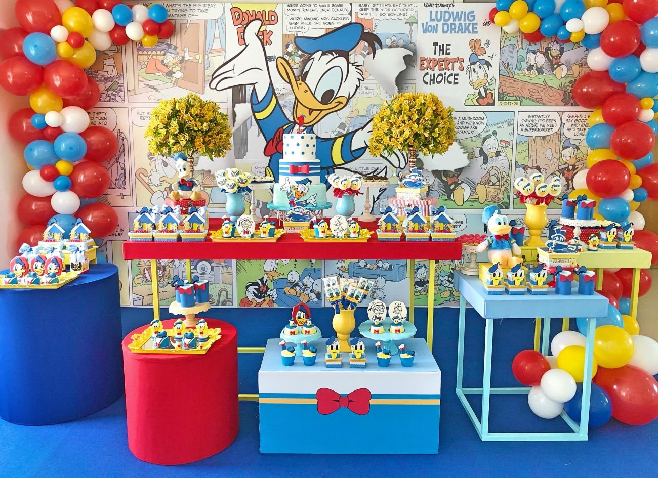 Festa Pato Donald
