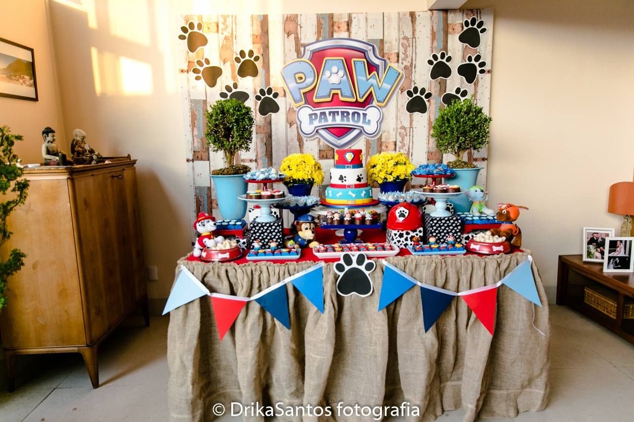 Festa Patrulha Canina