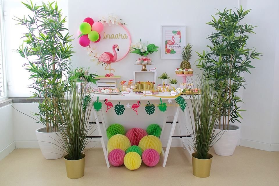Festa Flamingos